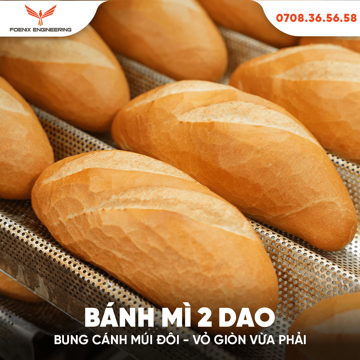 bánh mì truyền thống việt nam 2 dao