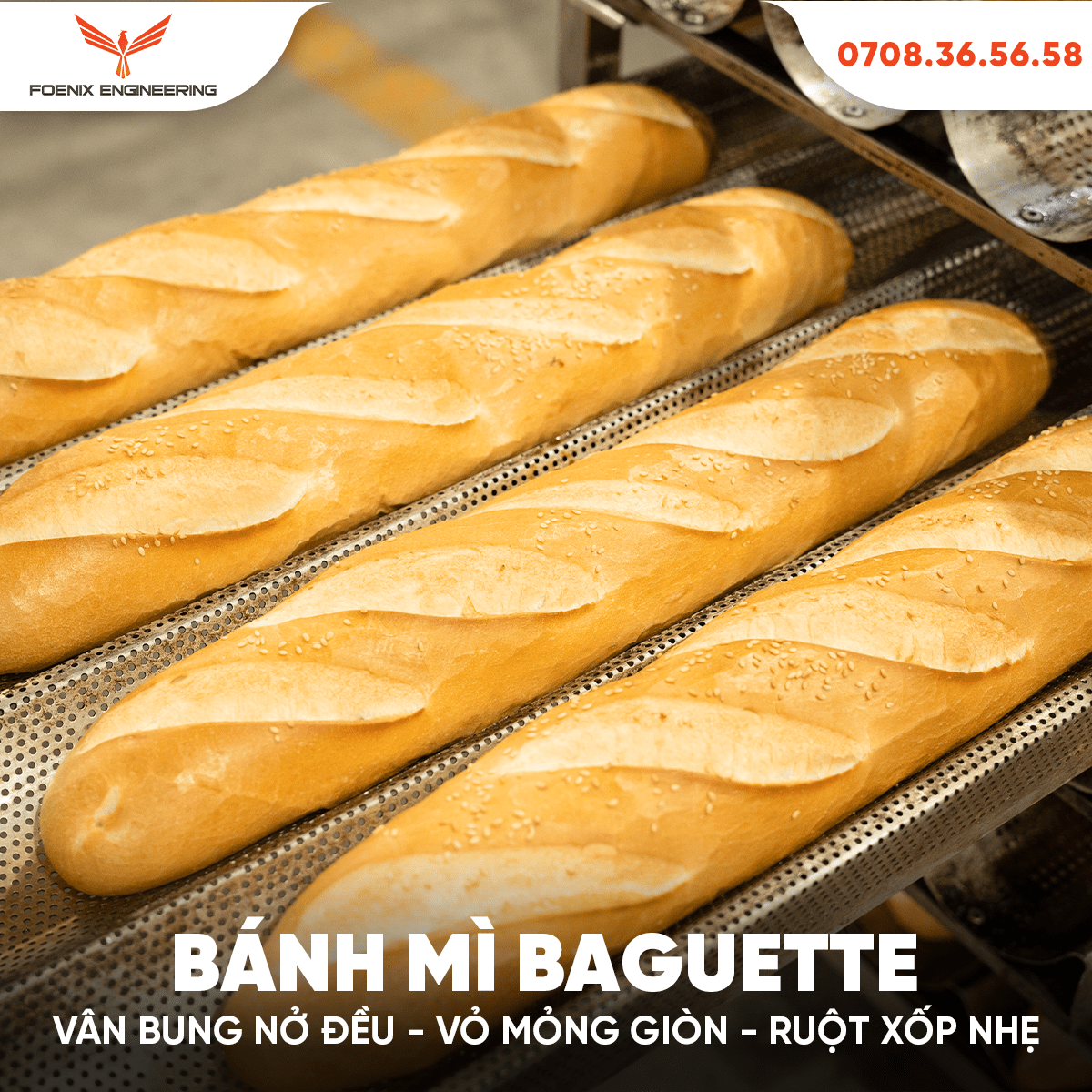 bánh mì baguette