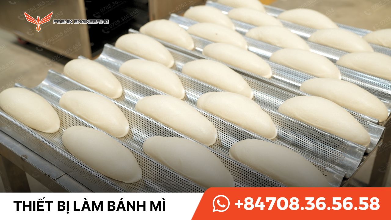 Bánh mì cấp đông Bánh mì cấp đông