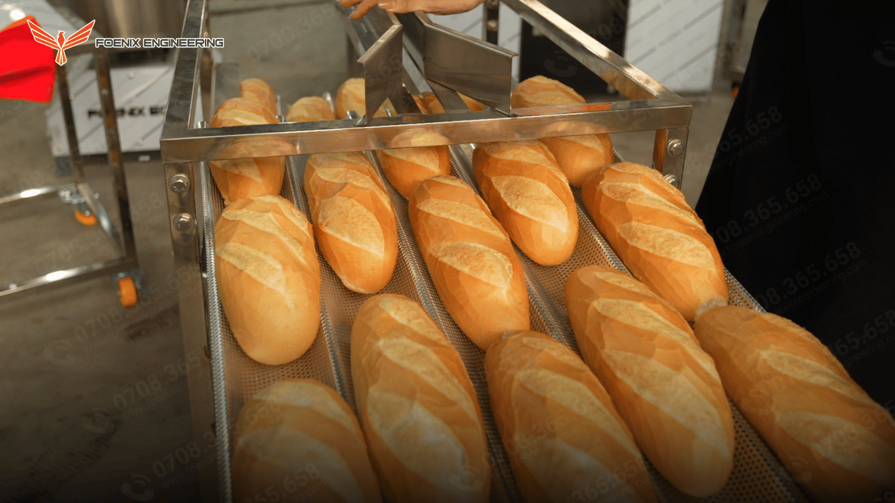Đặc điểm của vỏ bánh mì đều