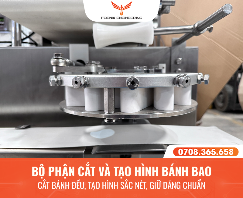 Bộ phận cắt và tạo hình bánh bao