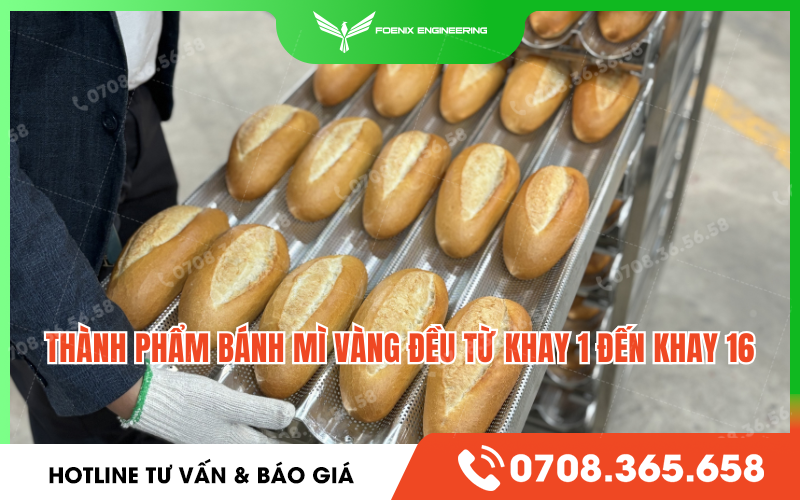 Có nên đầu tư lò nướng công nghiệp 16 khay dầu?