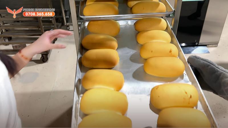 Các loại bánh mì nướng từ lò xoay 16 khay Foenix