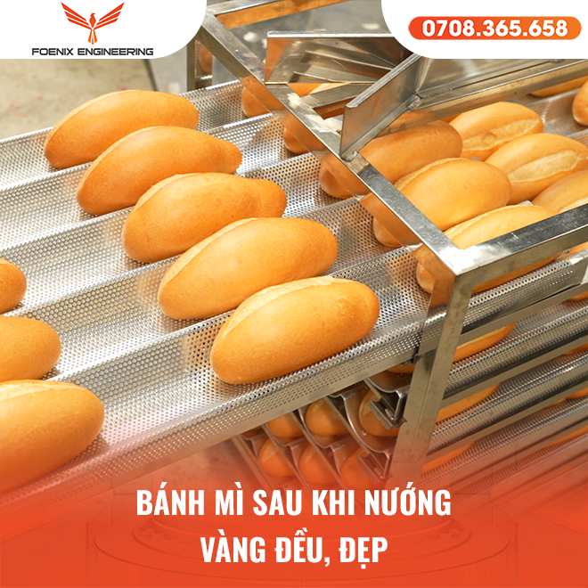 Có nên đầu tư dây chuyền bánh mì xuất khẩu
