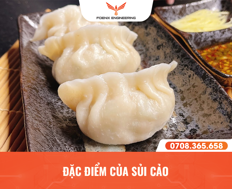 Đặc điểm của sủi cảo