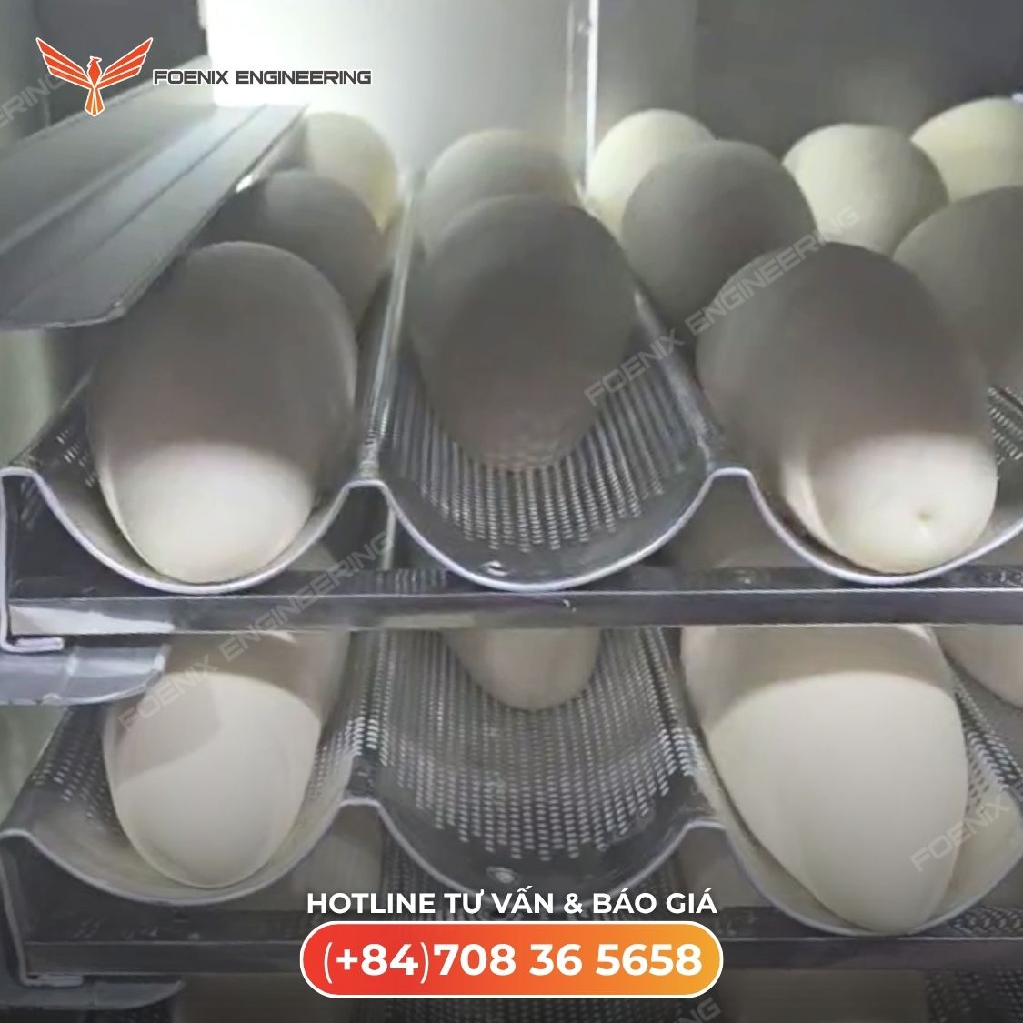 tủ ủ lập trình tủ ủ lập trình