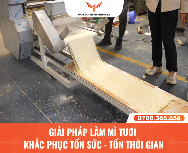 Đơn vị cung cấp máy làm mì tươi hiện đại