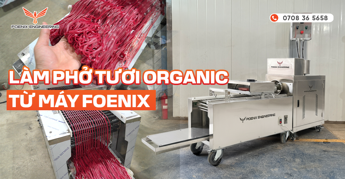 Làm bánh phở tươi organic từ máy Foenix