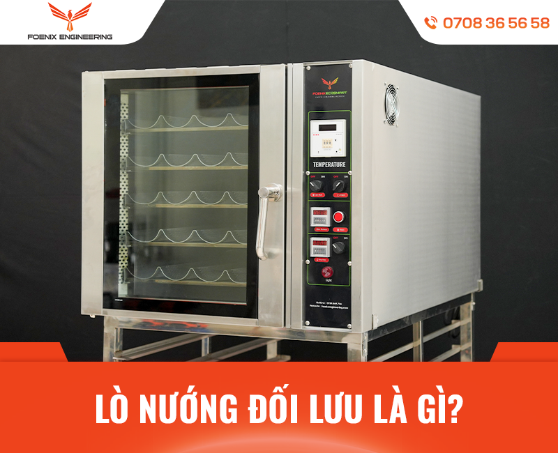 Lò nướng đối lưu là gì?