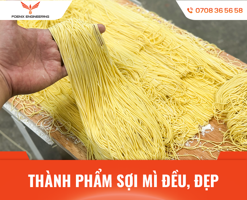 Mua máy làm mì tươi công nghiệp ở đâu uy tín?