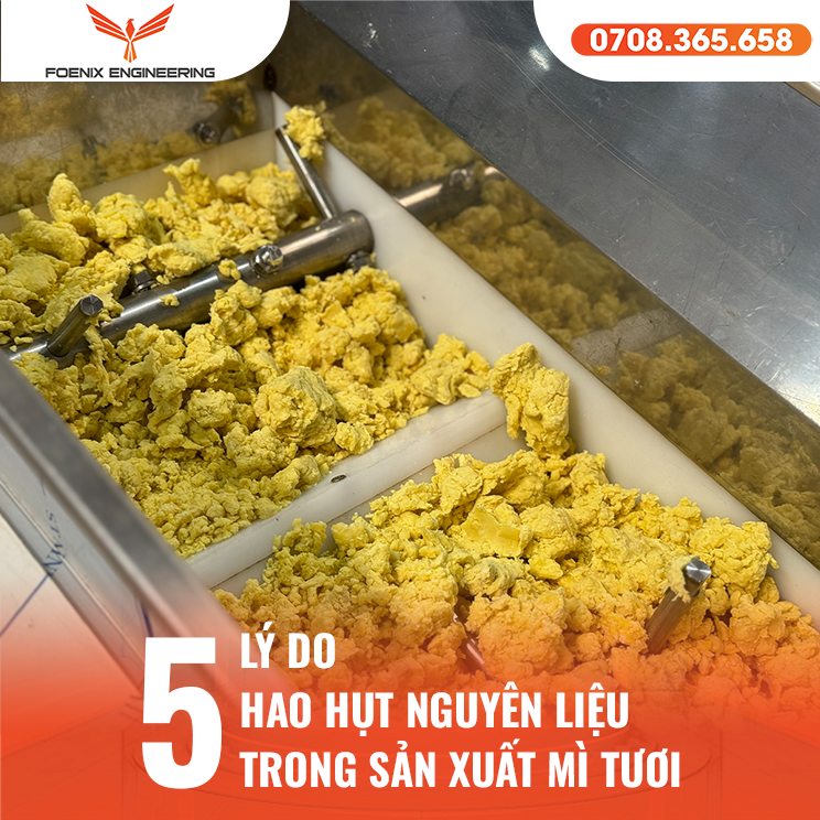 Lý do khiến máy làm mì tươi hao hụt nguyên liệu sản xuất