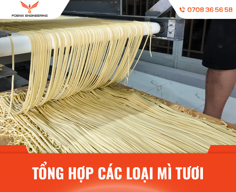 Các loại sợi mì làm từ máy làm mì tươi Foenix