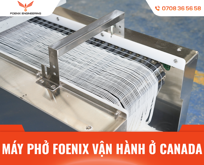 Máy làm bún phở tươi vận hành ở Canada