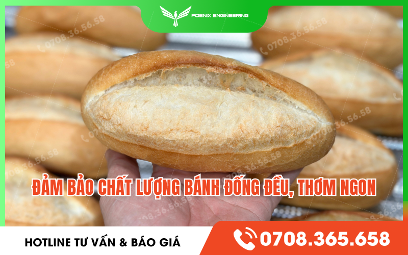 Năng suất của lò nướng bánh mì 8 khay dầu Foenix Eco