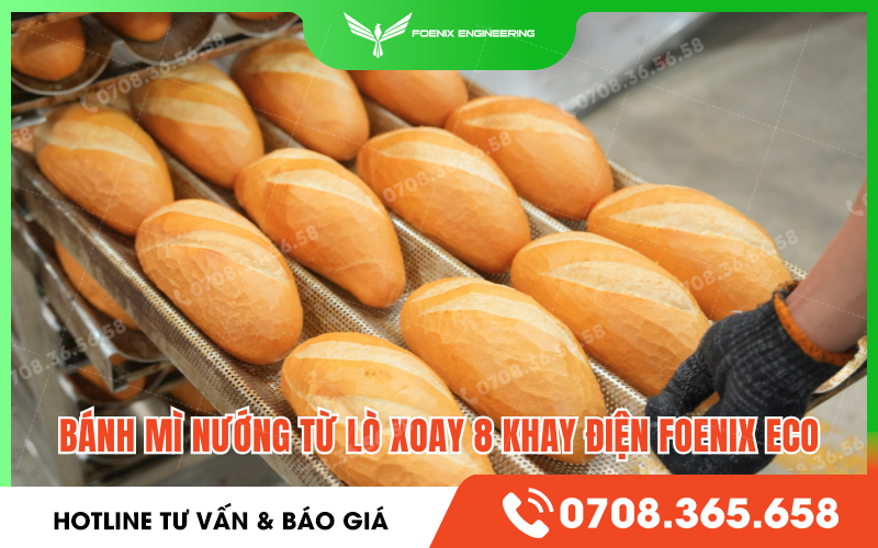 Lò nướng bánh mì xoay 8 khay điện Foenix Eco sản xuất bao nhiêu?