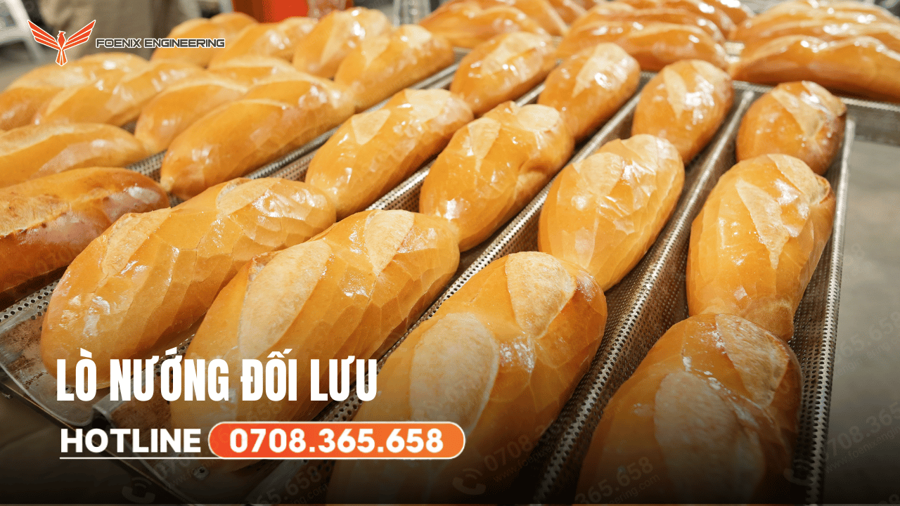 Mua lò nướng bánh mì đối lưu ở đâu?