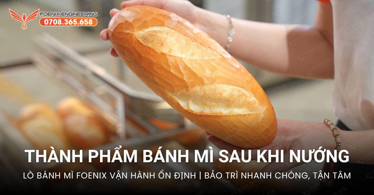 Lò nướng công nghiệp chất lượng