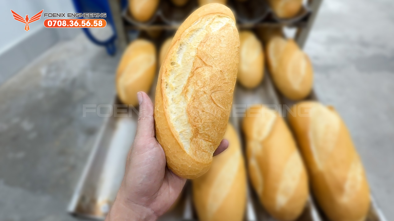 Rủi ro mua lò xoay tự gắn mác chuẩn 3B