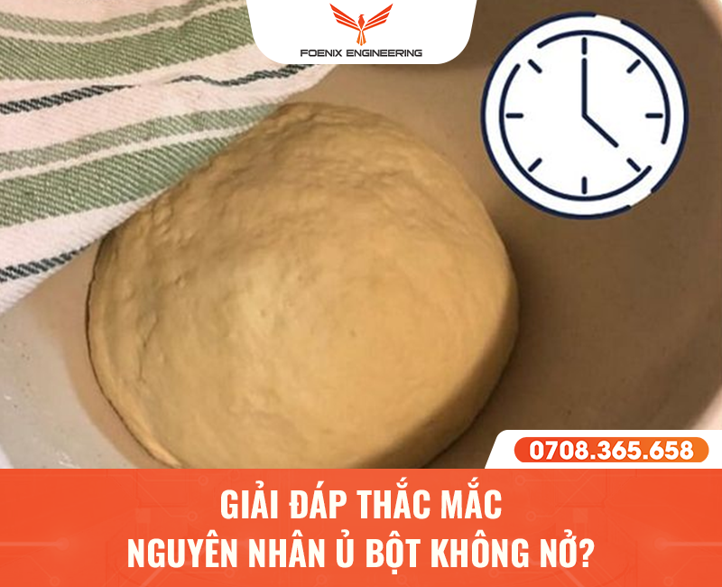 Tại sao ủ bột không nở?