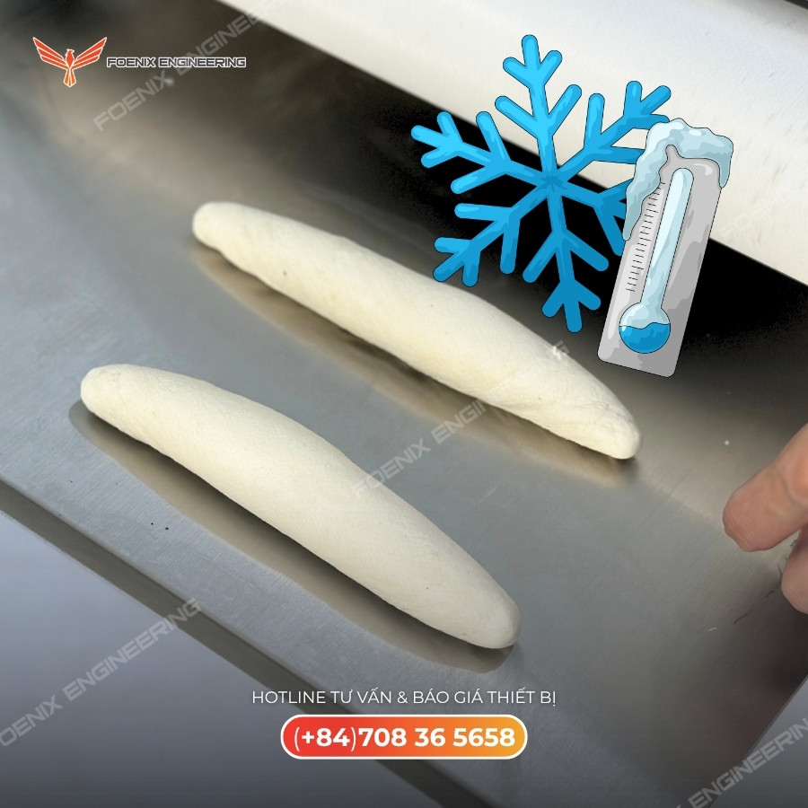 Tủ cấp đông công nghiệp hiện đại