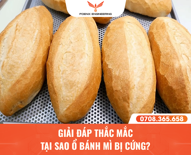 Tạo sao nướng bánh mì bị cứng?