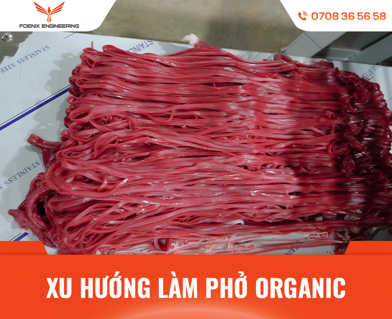 Xu hướng làm bánh phở tươi organic